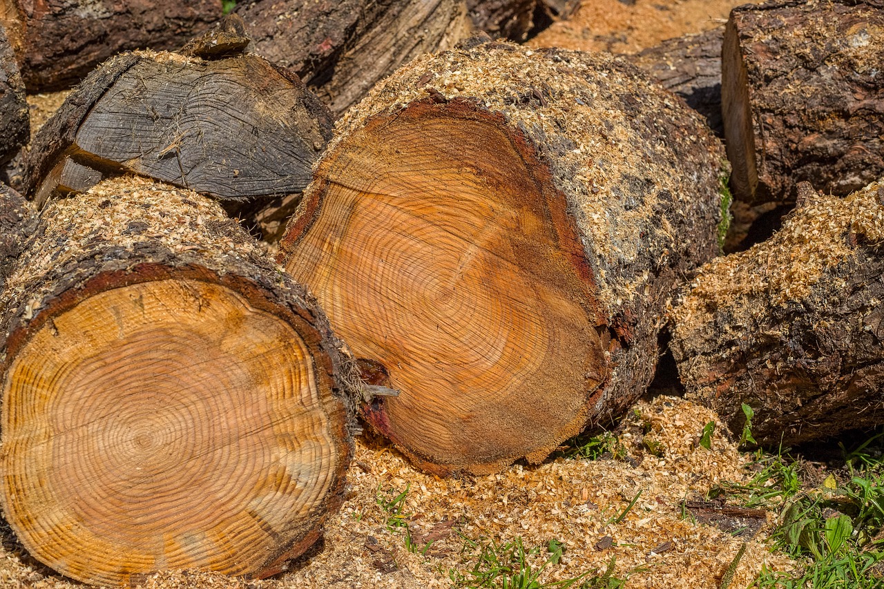 arbre coupé en petits morceaux de bois