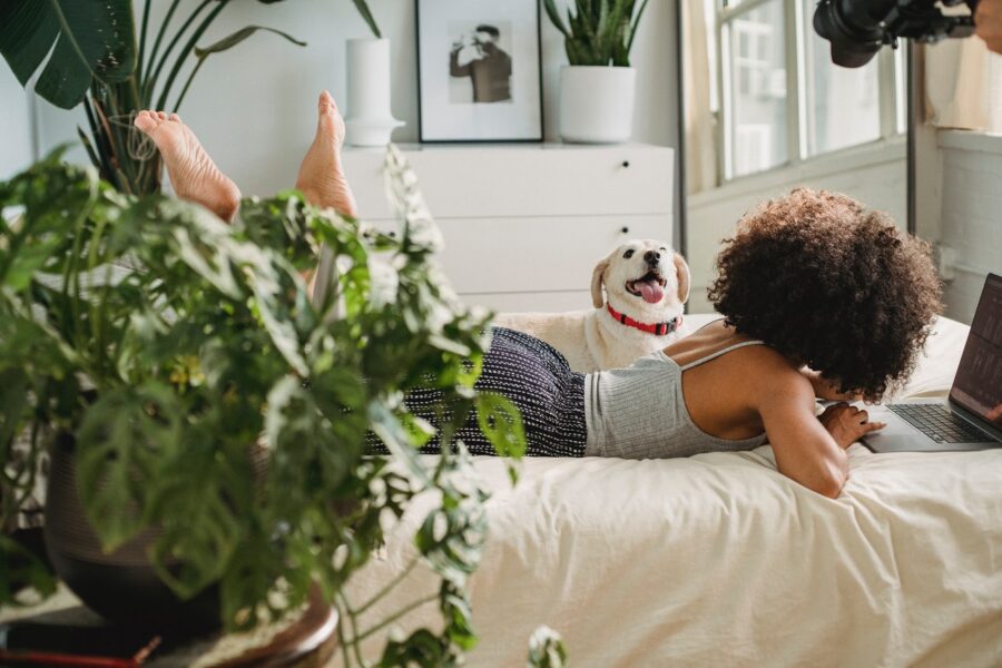 Plantes à mettre dans une chambre