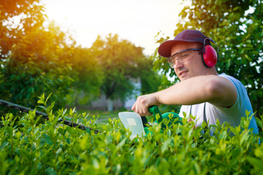 Quand et comment tailler les haies de votre jardin ? 