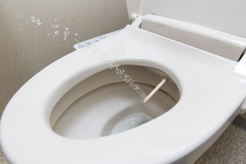 WC japonais : pourquoi choisir ces toilettes lavantes dans votre maison ?