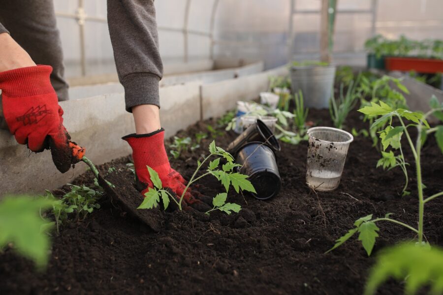 Comment le géotextile peut sauver votre jardin