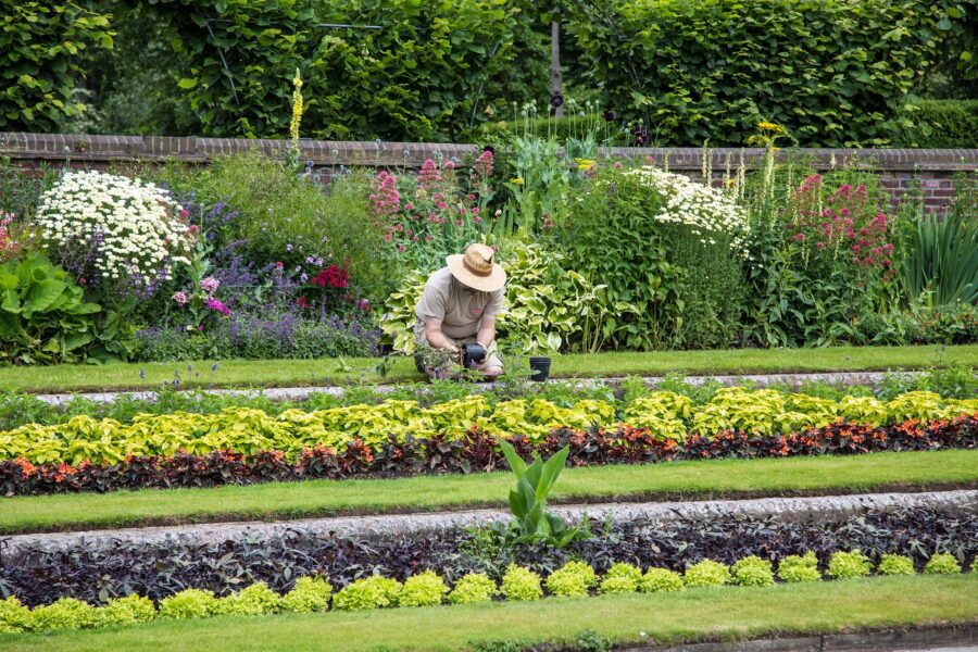 3 choses à savoir pour réussir sa reconversion en jardinier professionnel