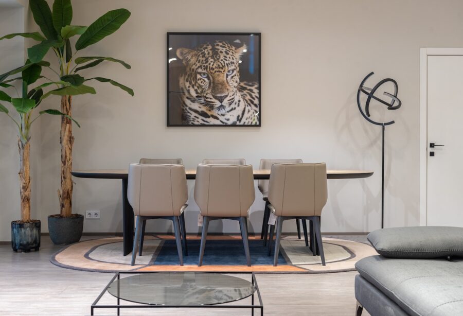 Comment adopter la décoration tropicale chic ?