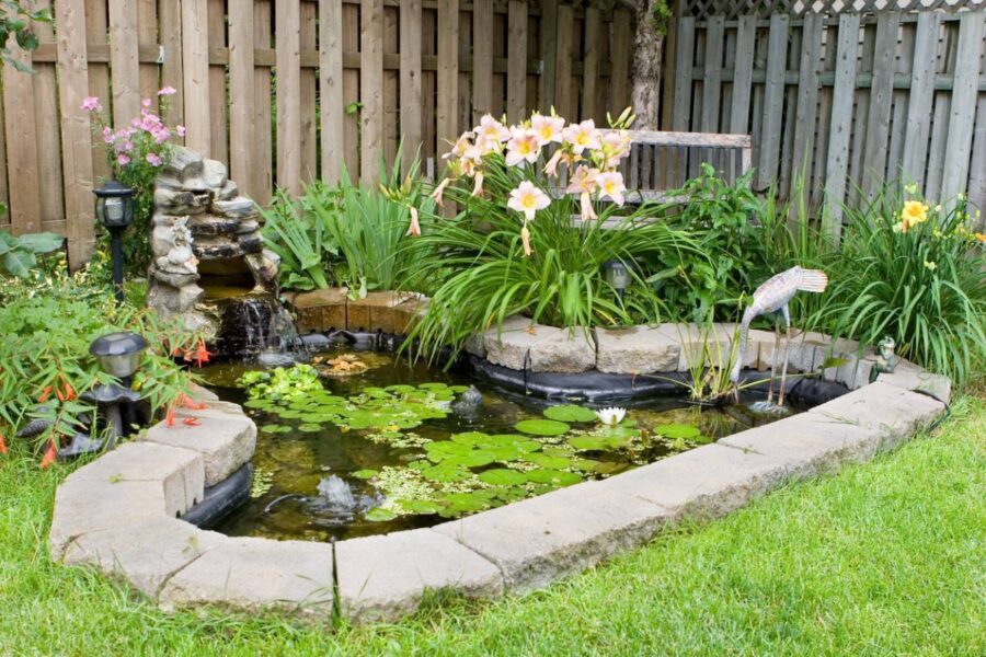 Comment aménager un bassin de jardin pour le rendre plus attrayant ?