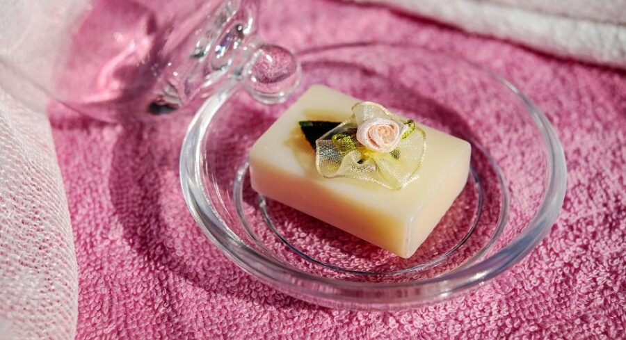 Quel est le meilleur porte-savon pour la douche ?