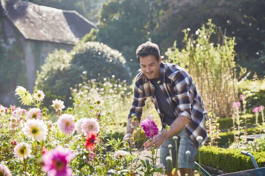 Redonner un coup de jeune à son jardin à l’approche du printemps