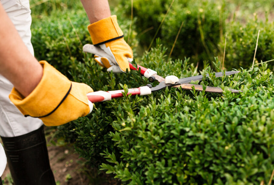 Accro au jardinage : j’emménage à la campagne