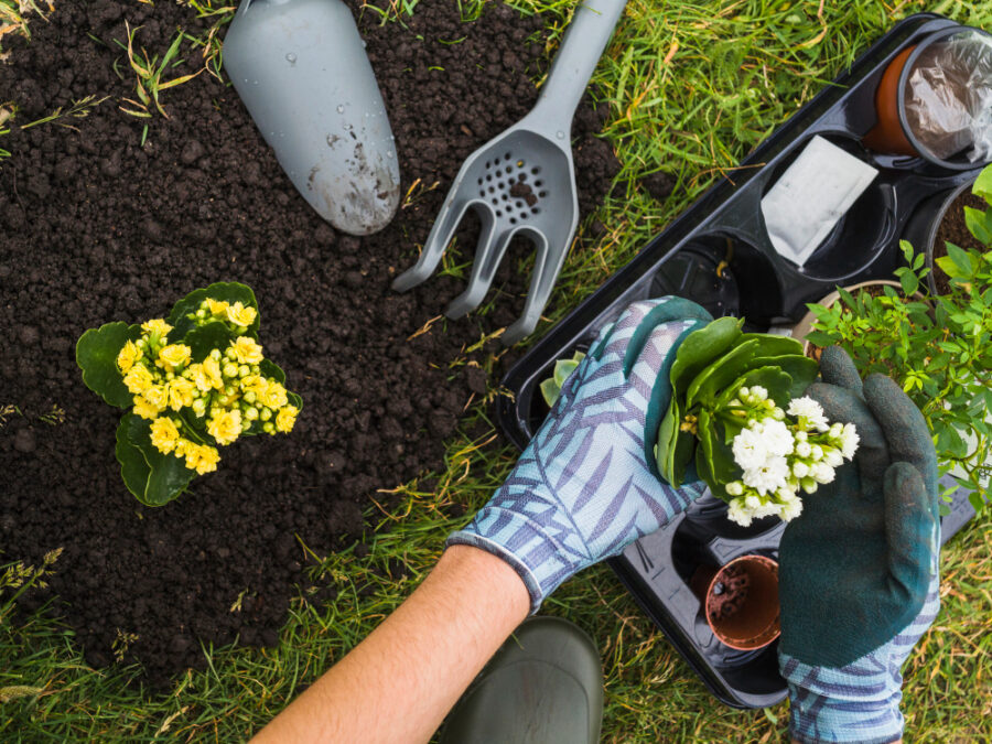 Jardinage : Quand et pourquoi faire appel à un pro ?