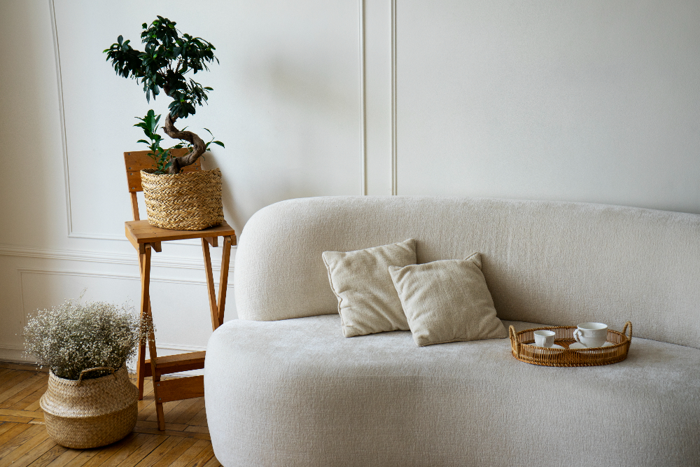 un canapé dans un appartement