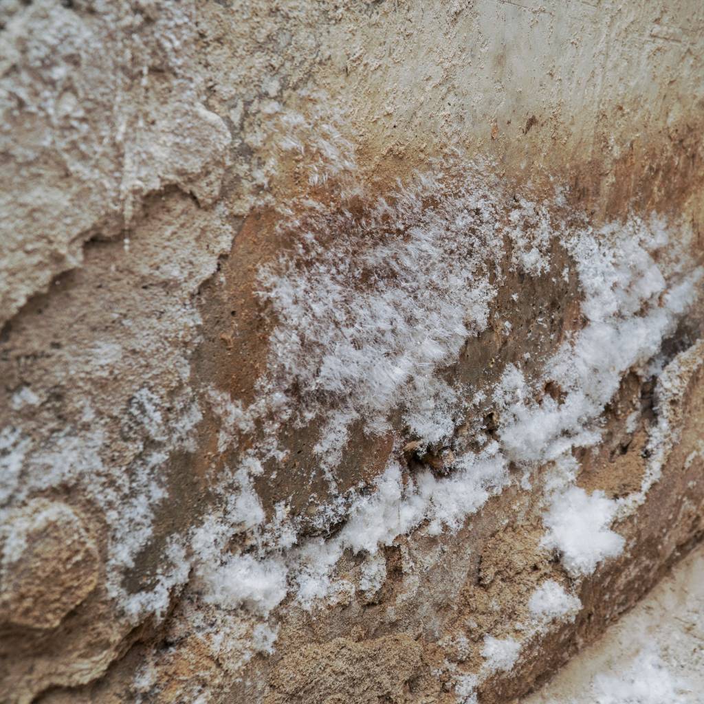  signes d'humidité dans une cave