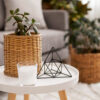 table basse salon