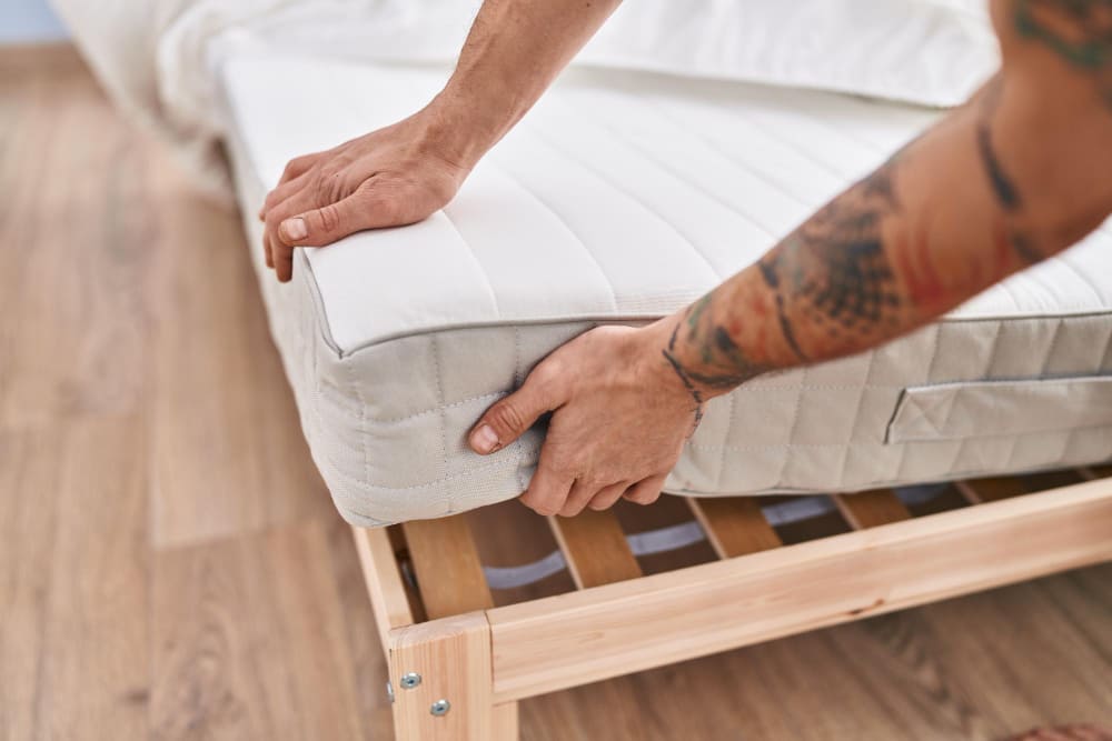 inspection d'un sommier contre les punaises de lit
