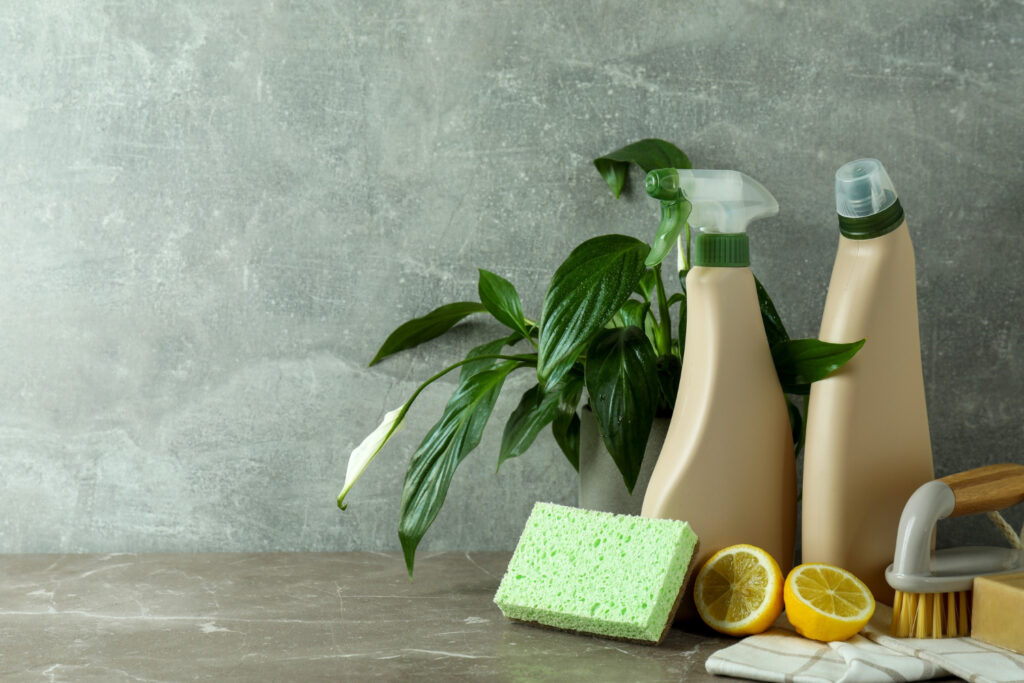 produits de nettoyage &eacute;cologique